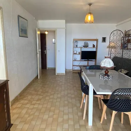 Grand 2 Pieces Avec Terrasse Face A La A - Fr-1-833-1 Lejlighed Canet-en-Roussillon