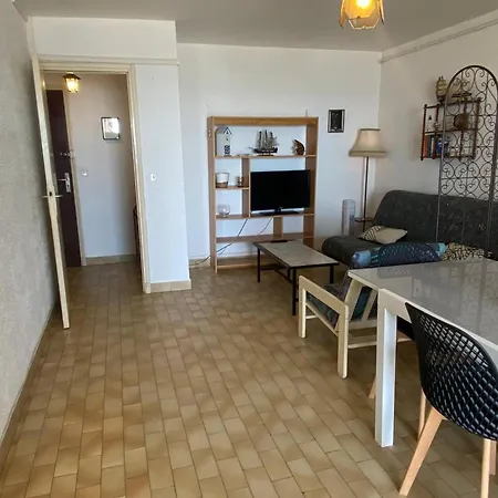 Apartment Grand 2 Pieces Avec Terrasse Face A La A - Fr-1-833-1