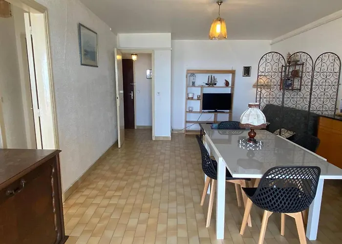 Grand 2 Pieces Avec Terrasse Face A La A - Fr-1-833-1 Daire Canet-en-Roussillon