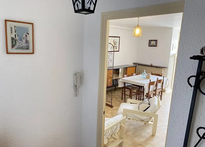 Daire Grand 2 Pieces Avec Terrasse Face A La A - Fr-1-833-1 Canet-en-Roussillon