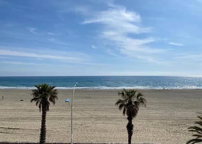 Grand 2 Pieces Avec Terrasse Face A La A - Fr-1-833-1 * Canet-en-Roussillon